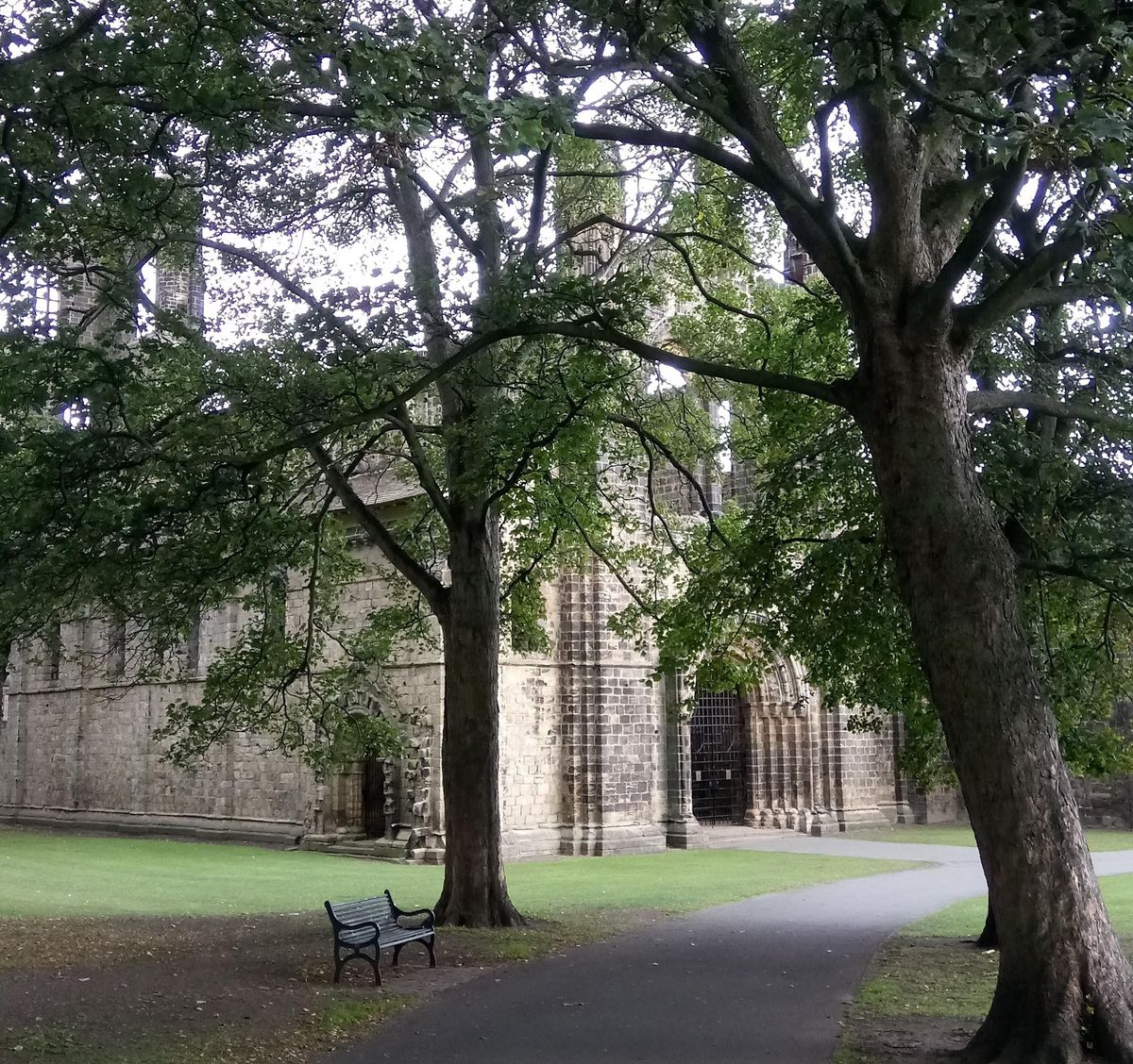 PAS Finds Surgery Kirkstall Abbey Leeds Saturday 5th November 2022 