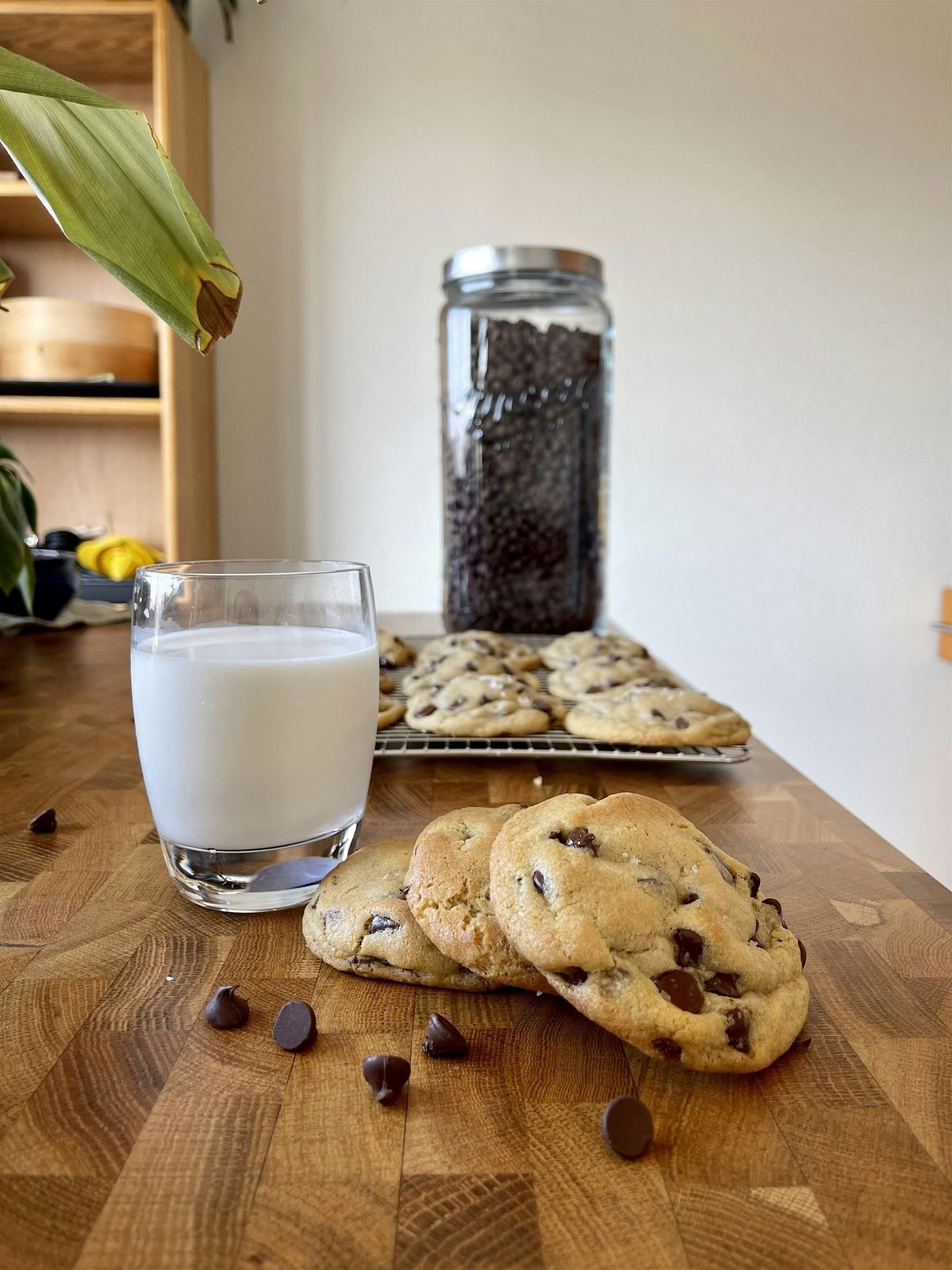 San Francisco\u2019s Essential Chocolate Chip Cookie Workshop