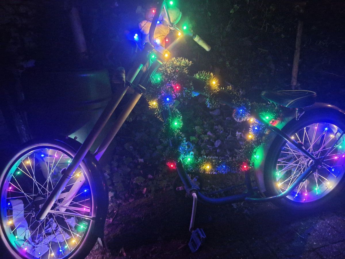 Mijn fiets is een kerstboom cruise II