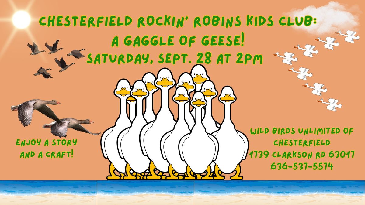 Rockin' Robins Kids Club: A Gaggle of Geese!