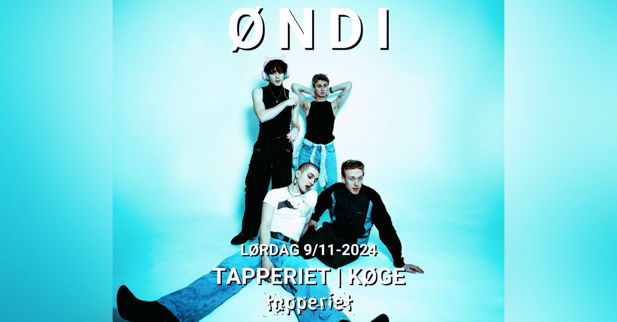 \u00d8ndi + support: Standart | Tapperiet