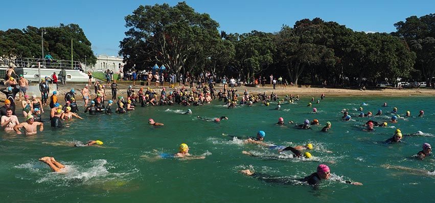 The 2025 Round North Head Classic swim