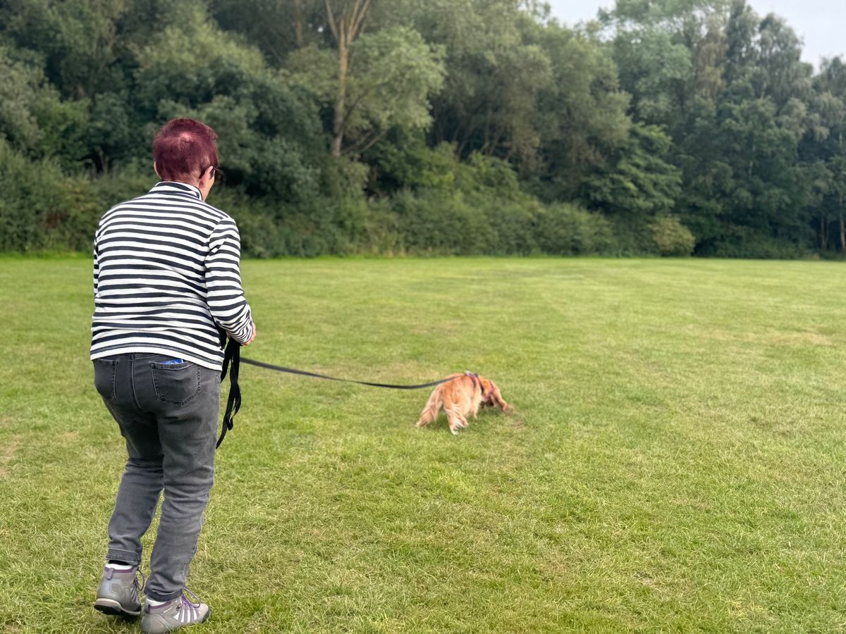 Scent Imprint for Dogs - Track2Trail Introduction, Kingsbury, B76