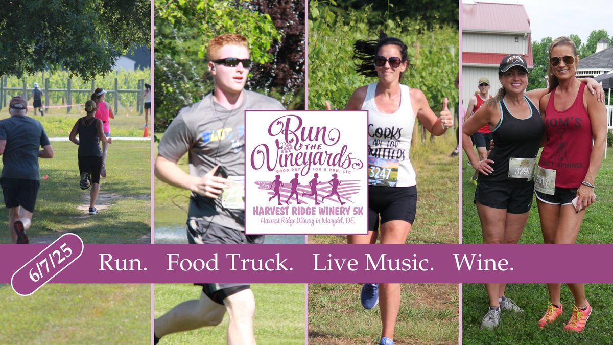 Run the Vineyards Harvest Ridge 5K