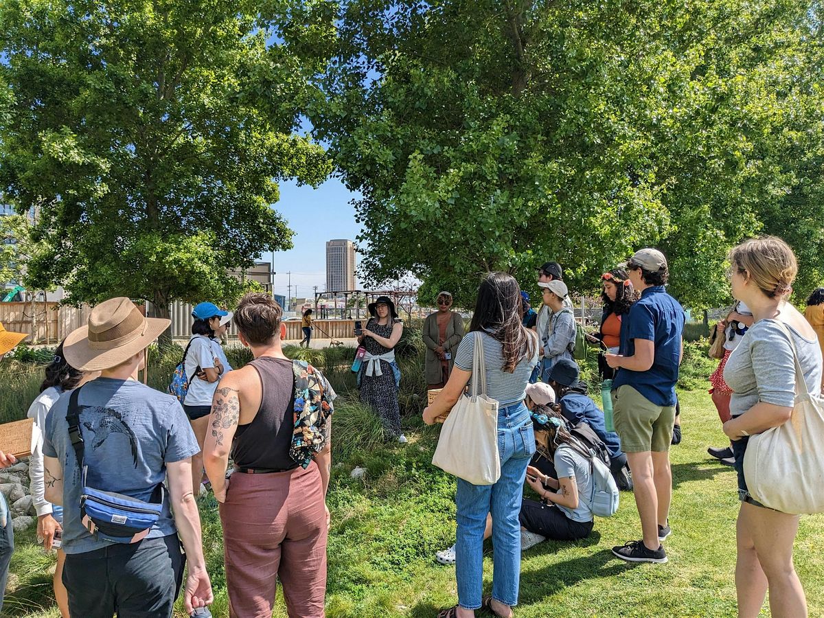 Connect with Nature- Guided Foraging & Meditation (Hawthorne- South Bay)