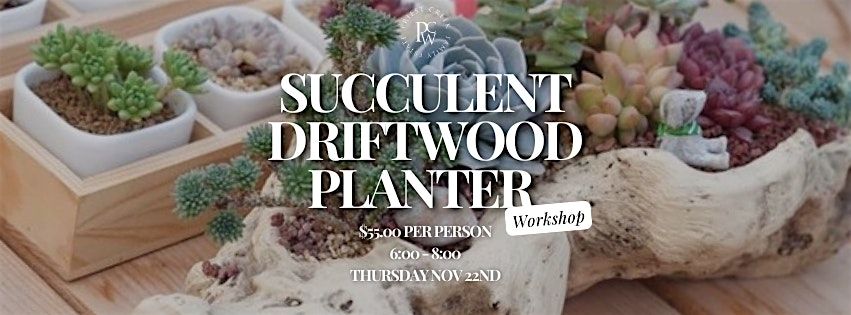 Succulent Driftwood Planter Workshop