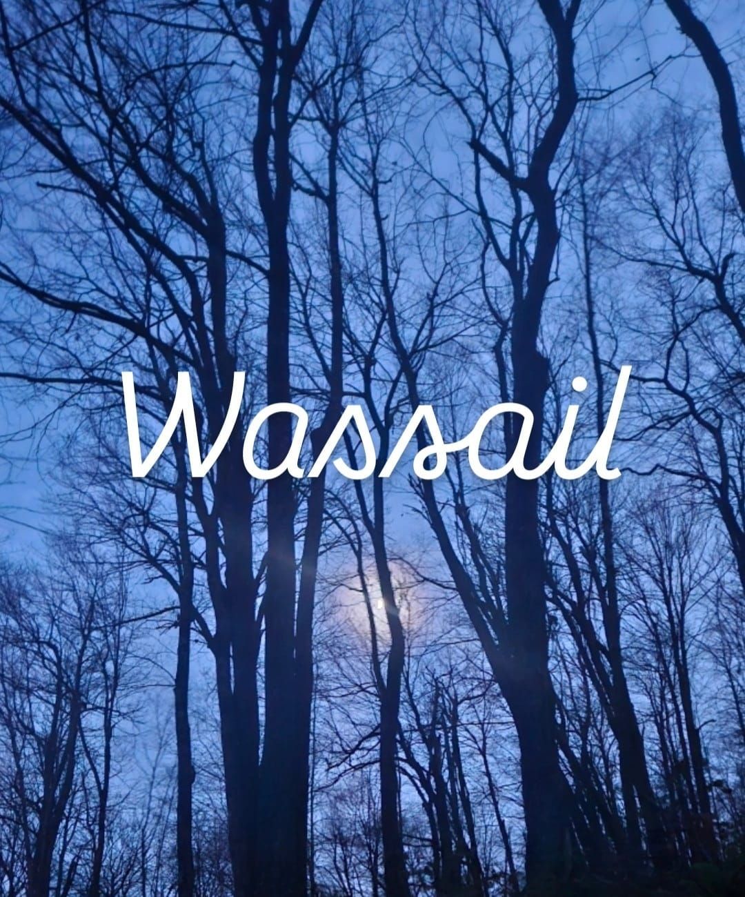 Wassail at Altered Genius Trailside 