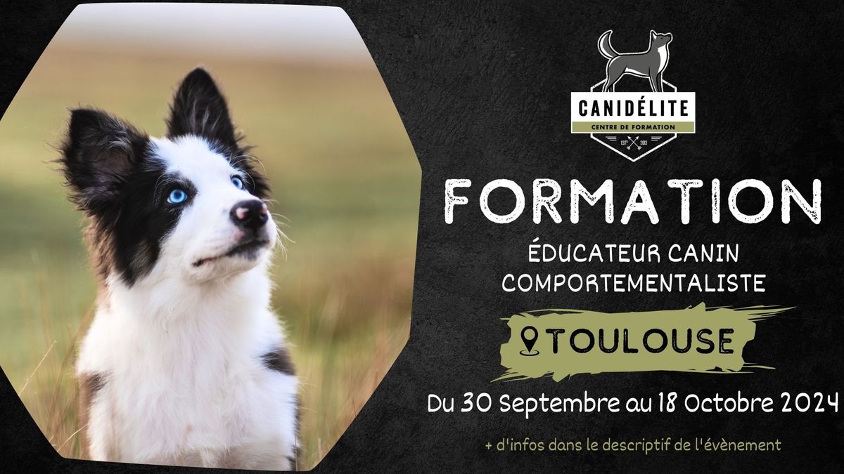 Formation Educateur Canin Comportementaliste