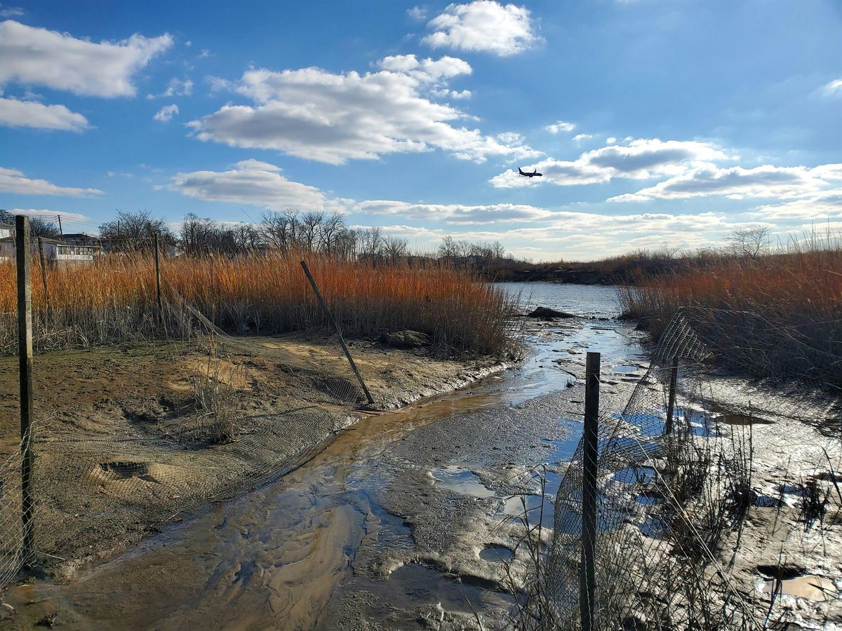 Soundview Park Super Steward: Trail Maintainer Training