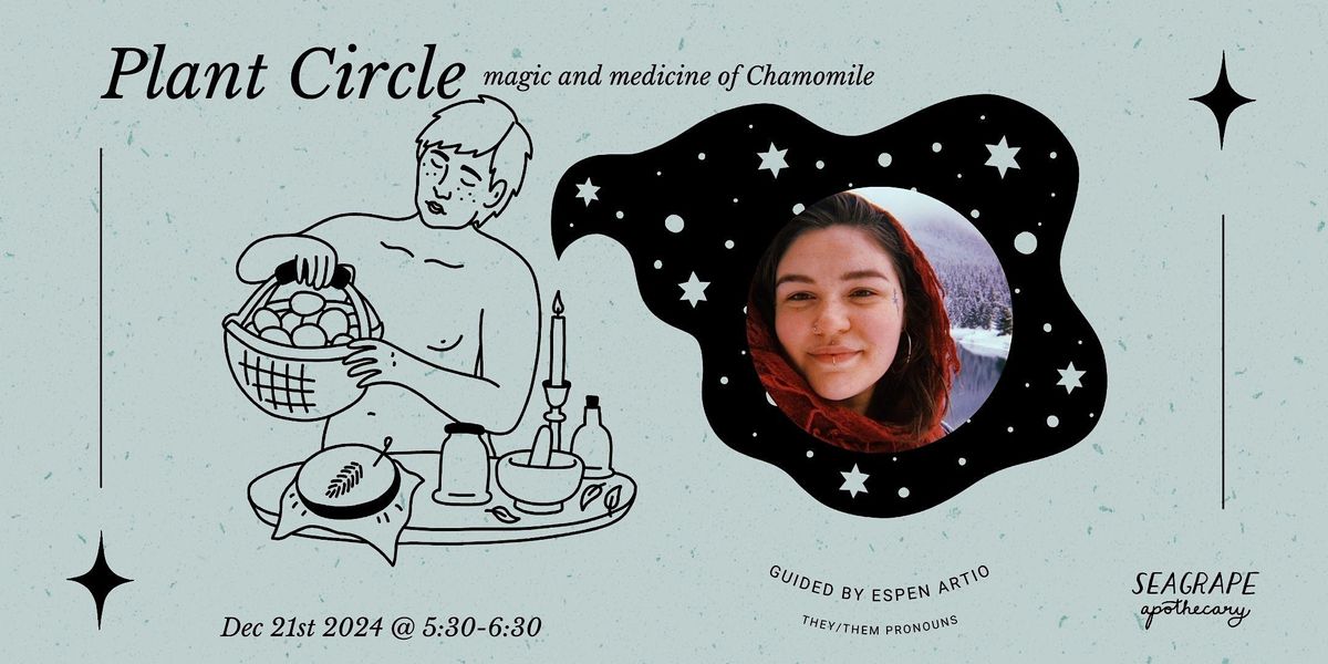 December Plant Circle: Chamomile