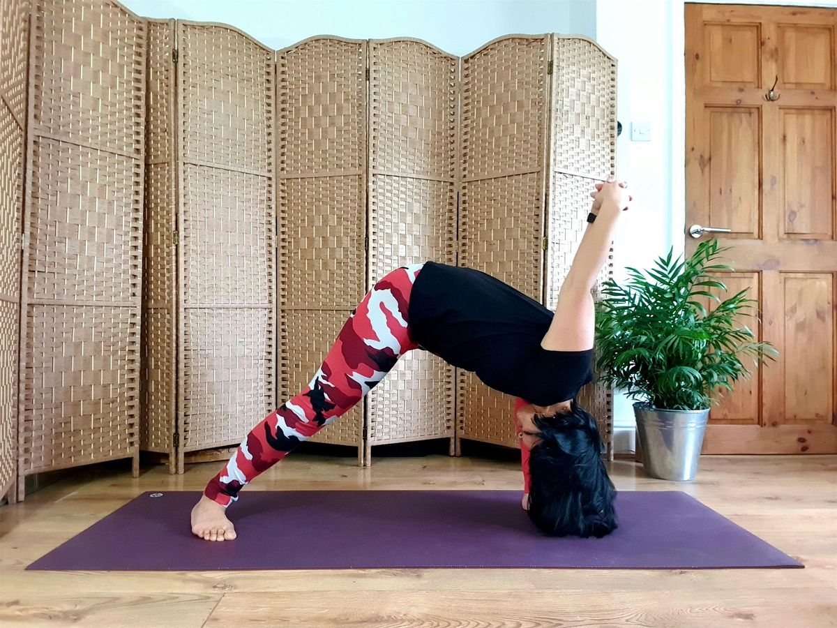 Yoga Asana Hands-On Adjustments and Assist