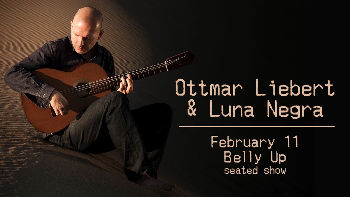 Ottmar Liebert & Luna Negra (seated show)