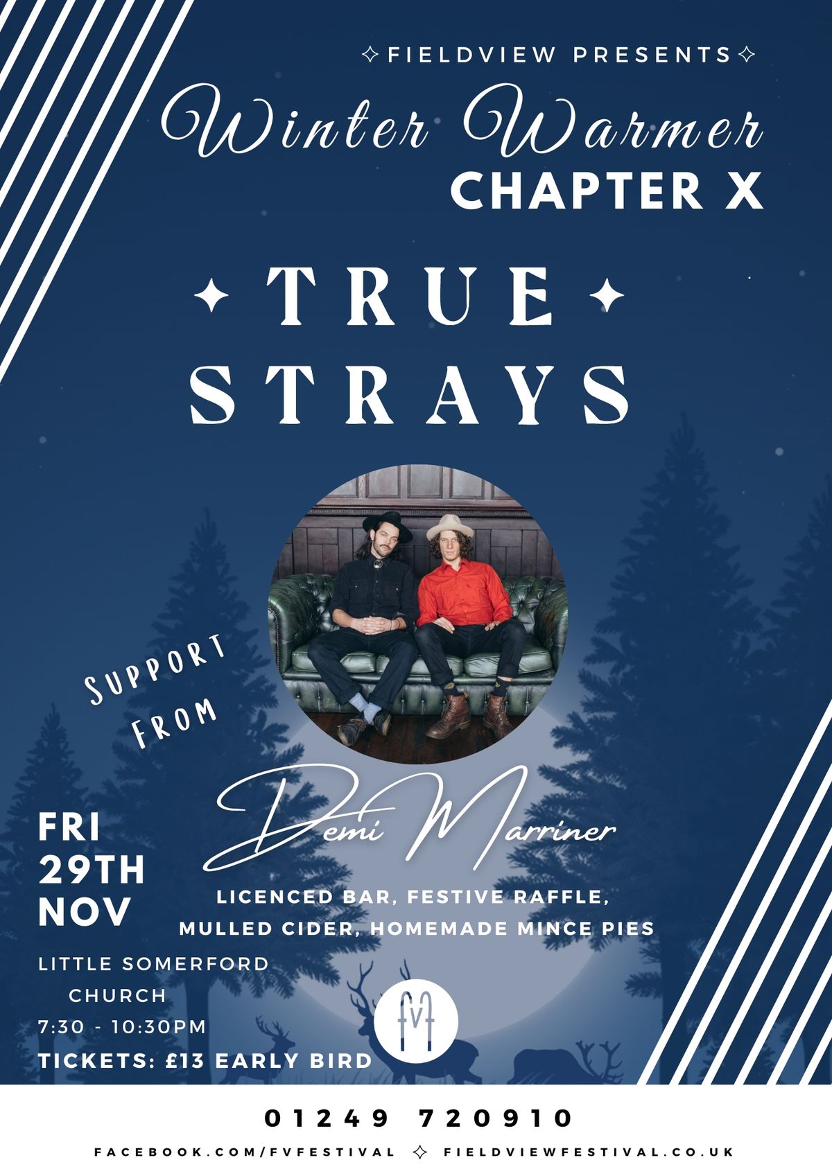 True Strays (Full Band) Live at Fieldview Winter Warmer Chapter X (Tenth Anniversary Gig)