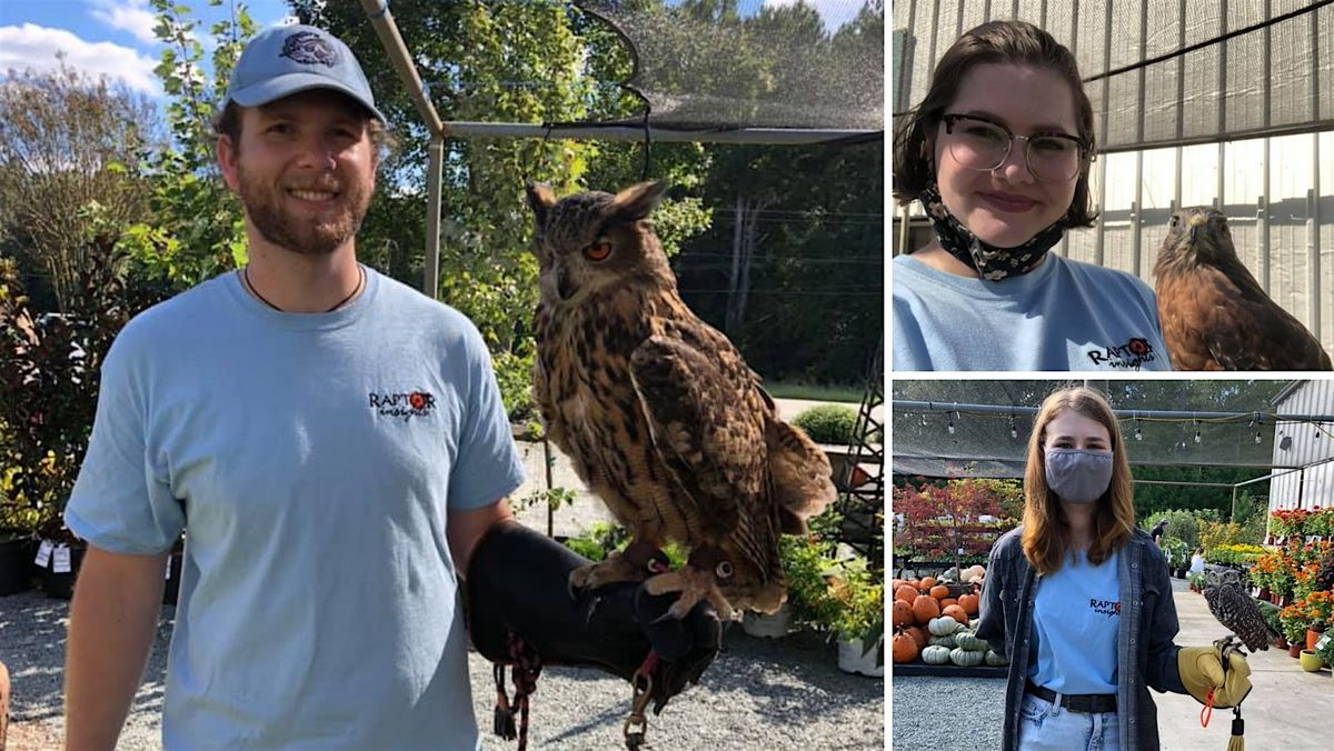 Birds of Prey for Father's Day at Piedmont Feed & Garden Center