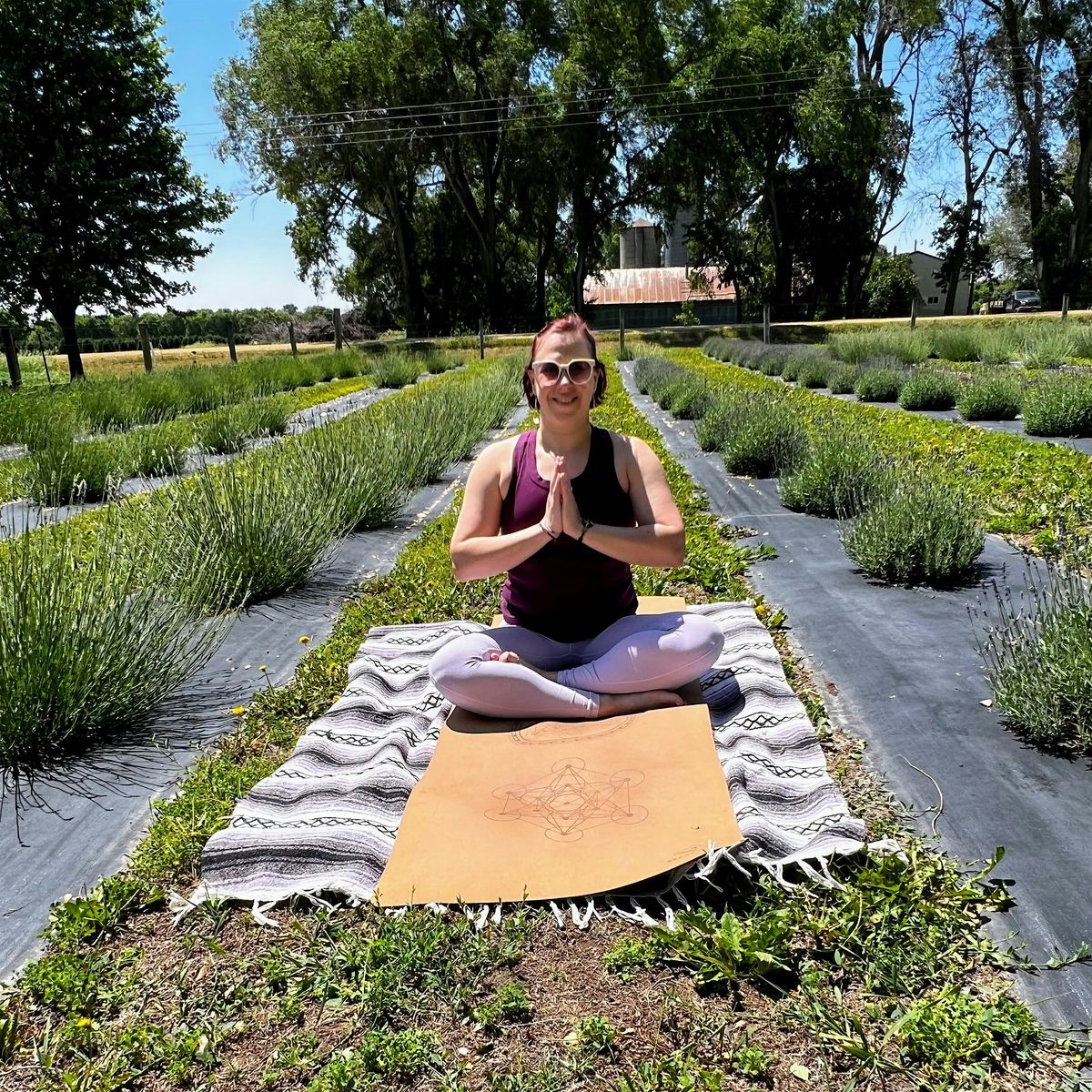 Outdoor Yoga at the Lavender Barnyard