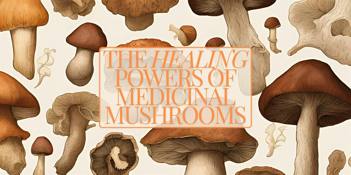 The Healing Power Of Medicinal Mushrooms