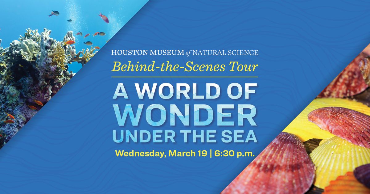 BTS: A World of Wonder Under the Sea