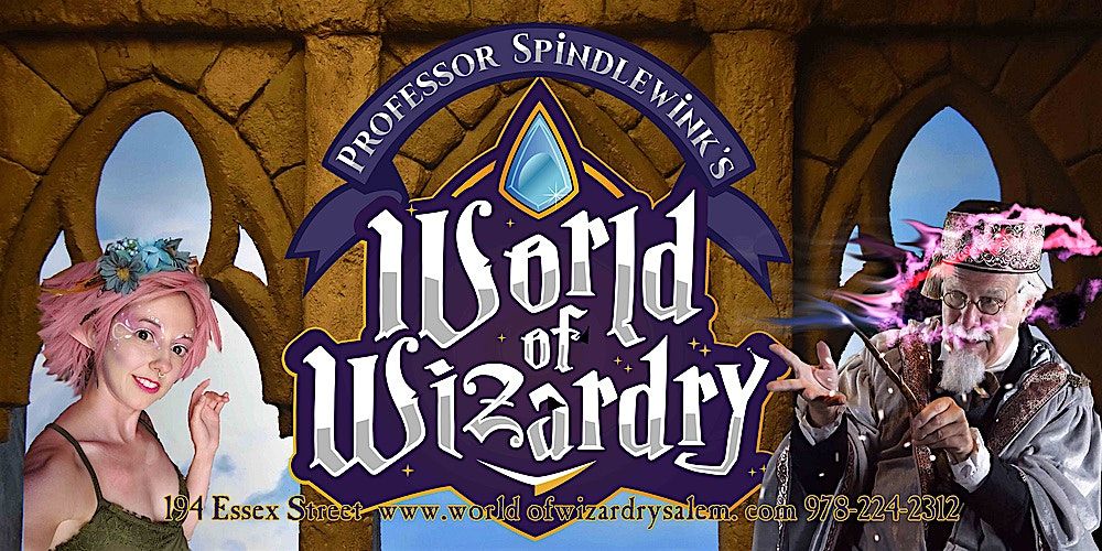 Professor Spindlewink's World of Wizardry