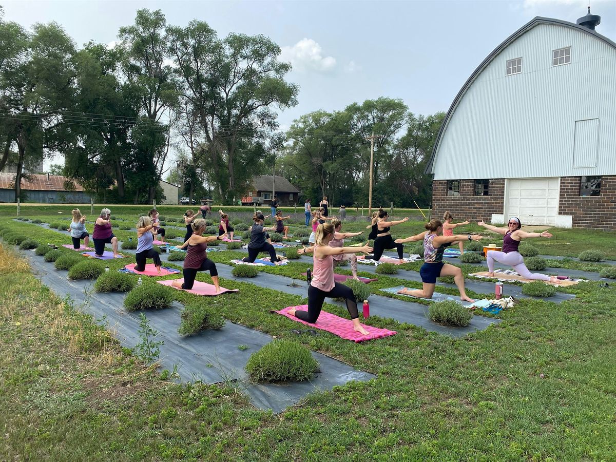 Summer Solstice at the Lavender Barnyard