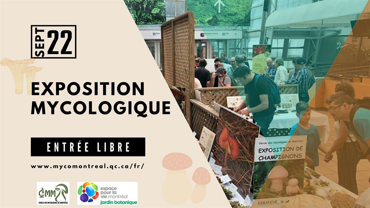 Exposition Mycologique