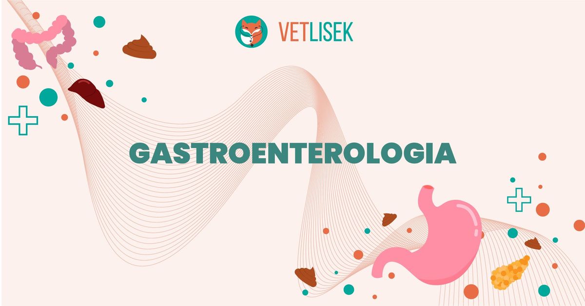 Gastroenterologia