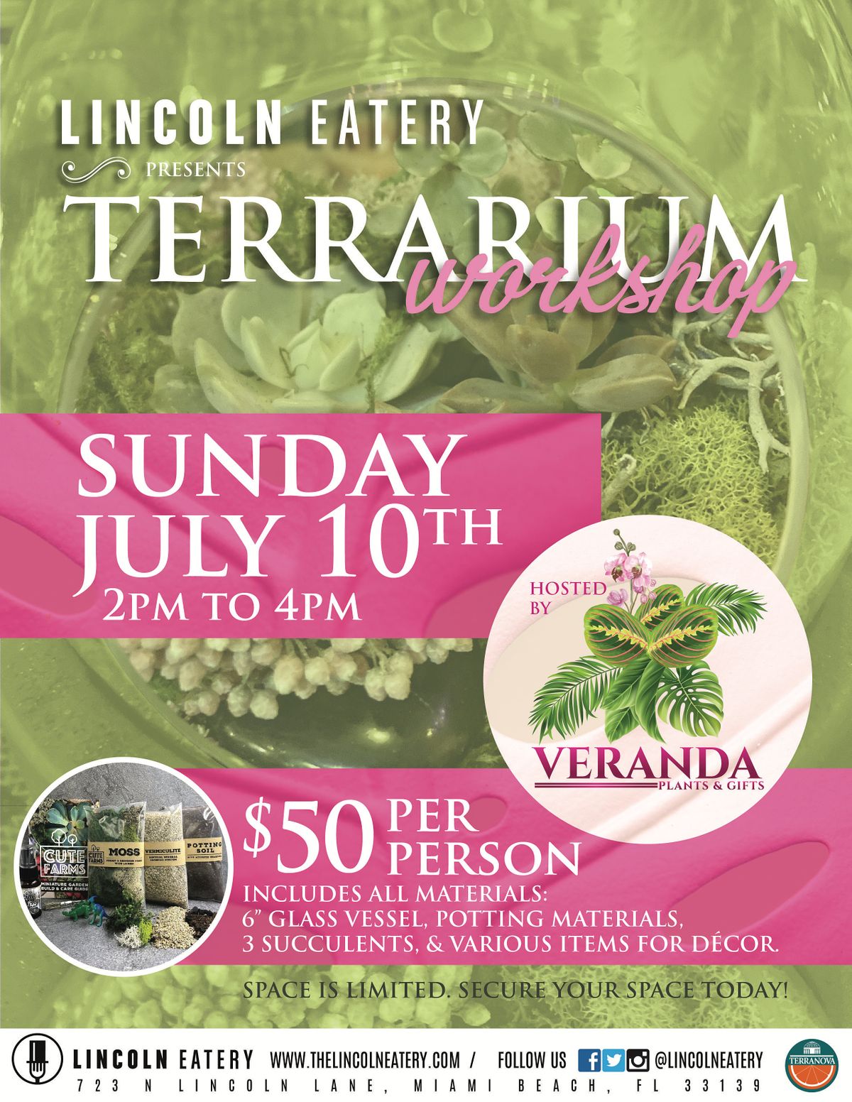 Terrarium Workshop at the Lincoln Eatery