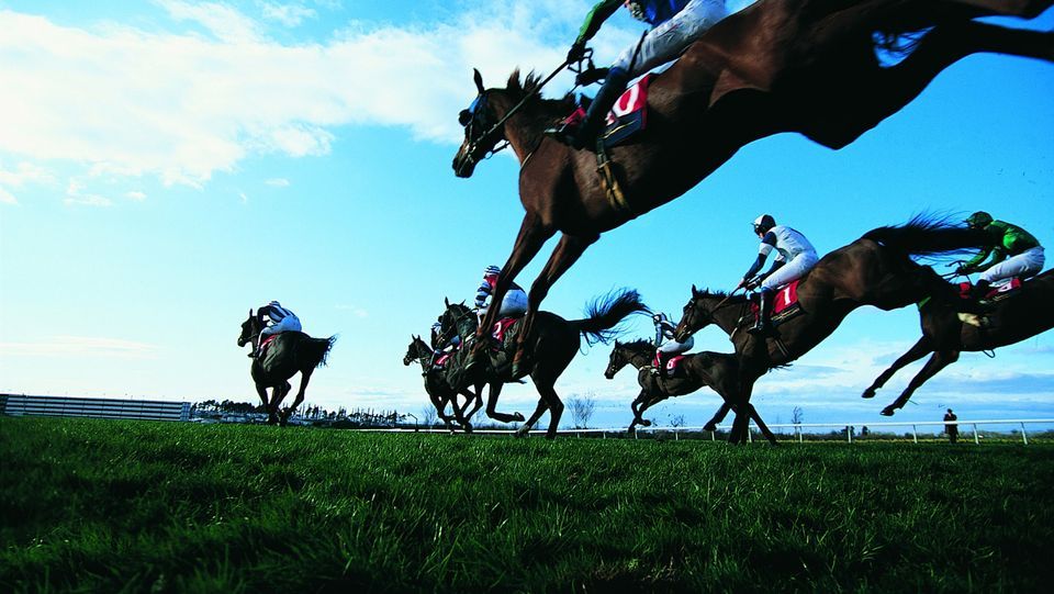 Melbourne Cup Lunch @ Ayers House