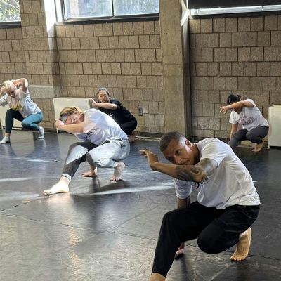 Capoeira Guatambu