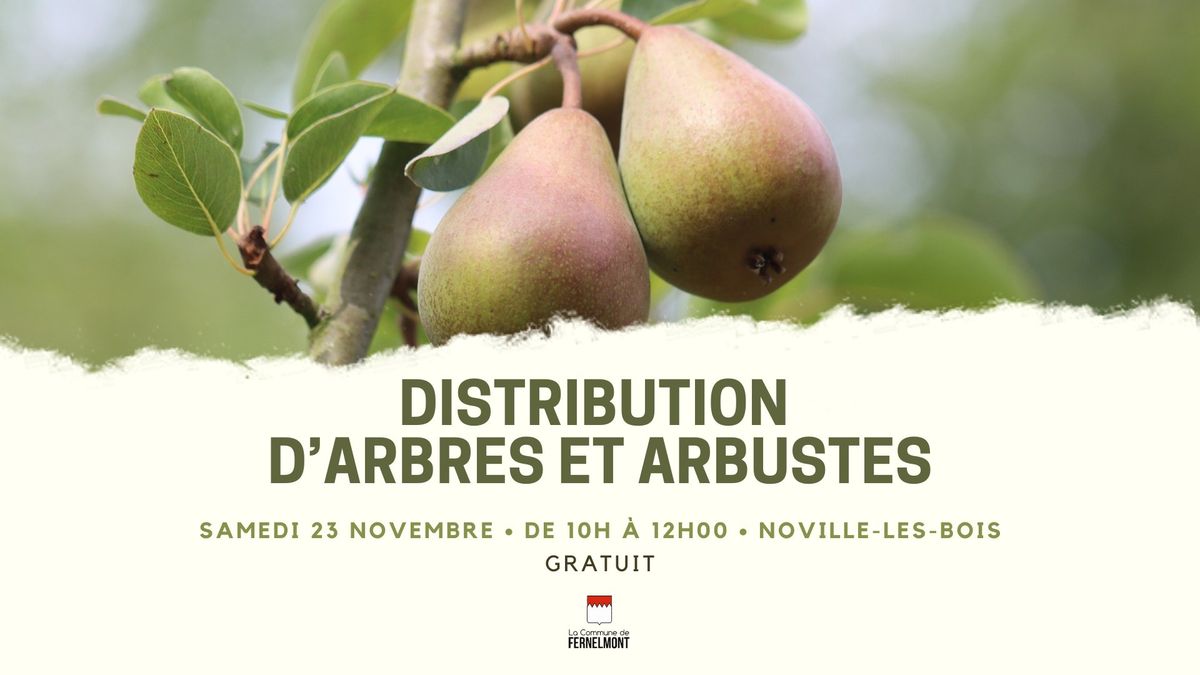 Distribution d'arbres et arbustes 2024