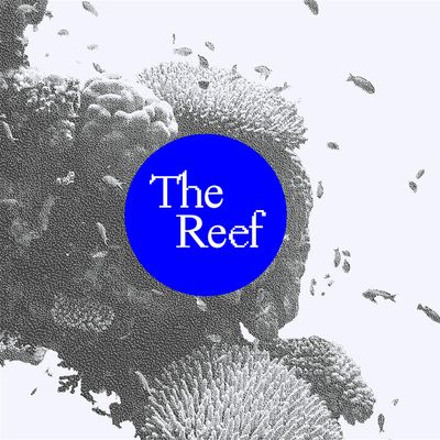 The Reef Collective