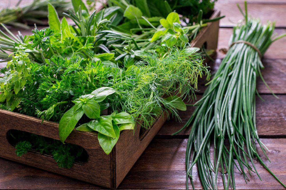 Cooking with Herbs