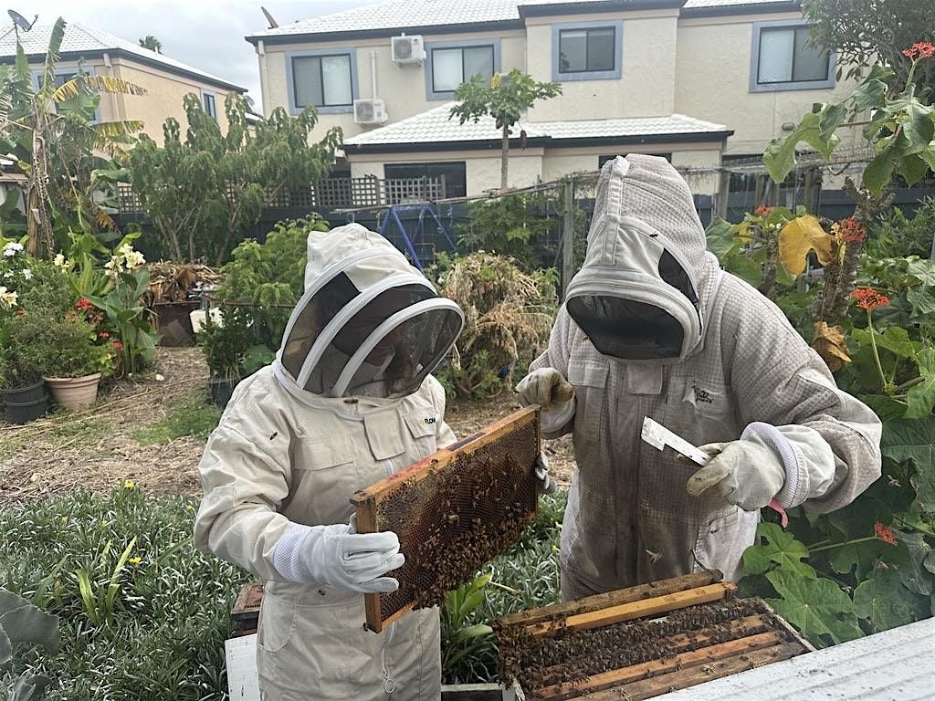 Introduction to Beekeeping class 30th Nov & 1st Dec 2024  - for 15yrs+.