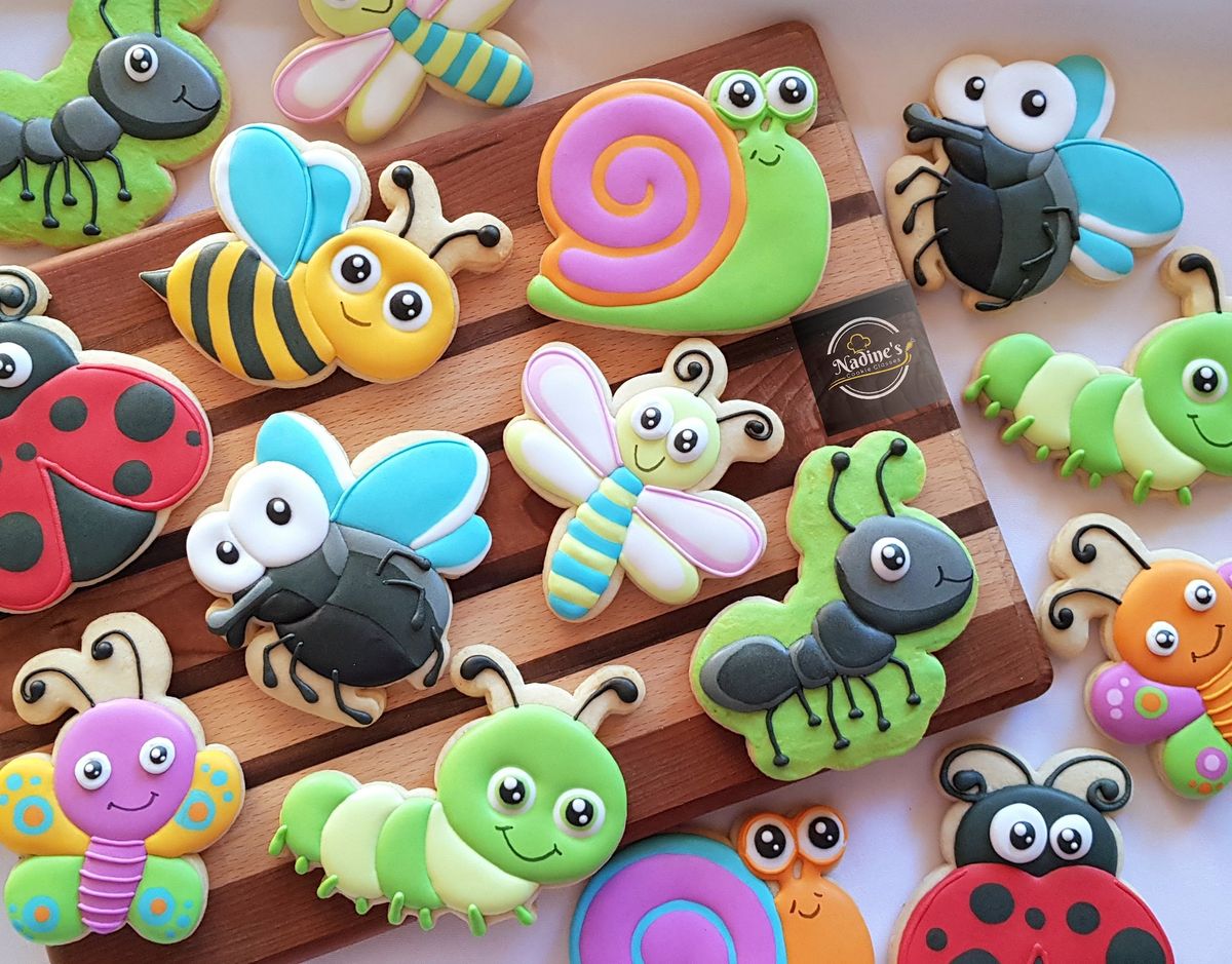 Insect Cookie Class