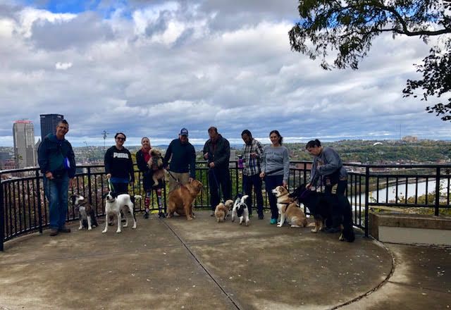 Hiking Hounds!