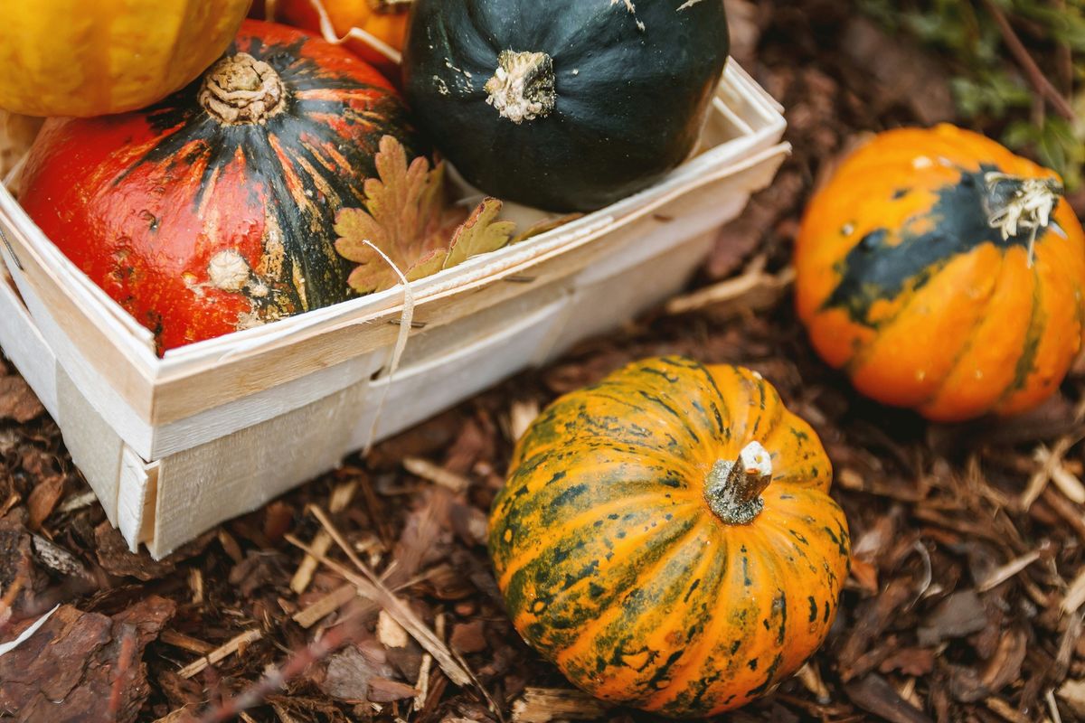 Herb Club - Samhain Celebrations.