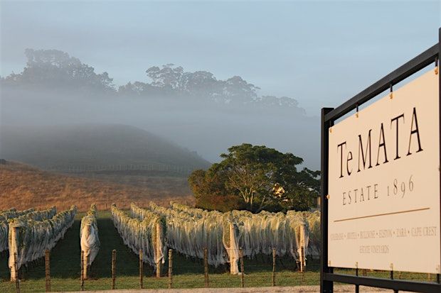 An Exclusive Evening with Te Mata Estate - New Zealand's finest wines