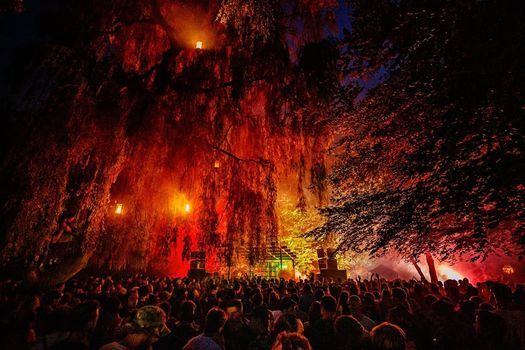 Event 2021 Dekmantel Festival Amsterdam Forest