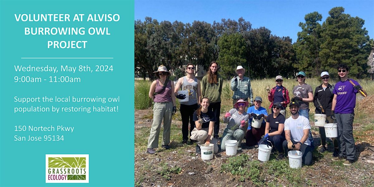 Volunteer Outdoors in Alviso at the Burrowing Owl Project (18+)