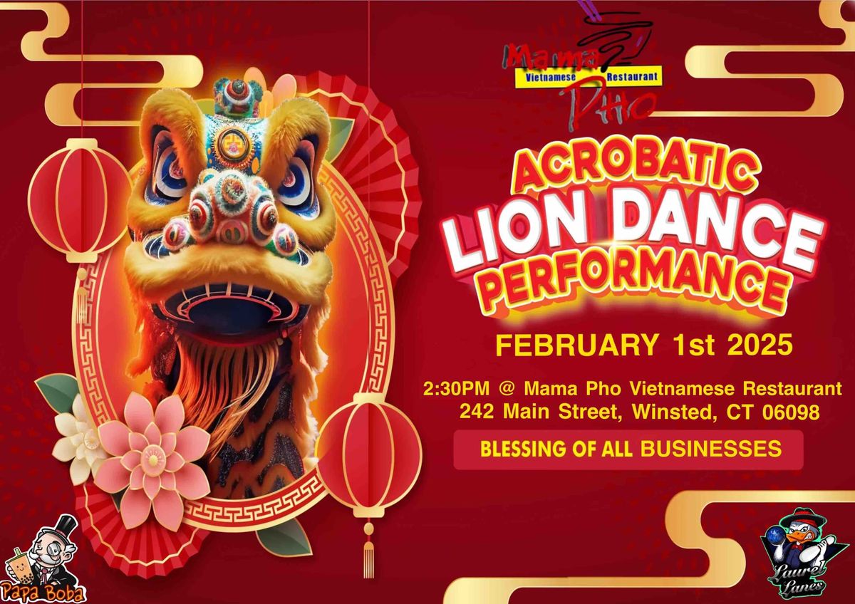 MaMa Pho's Lion Dance - Blessing New Year