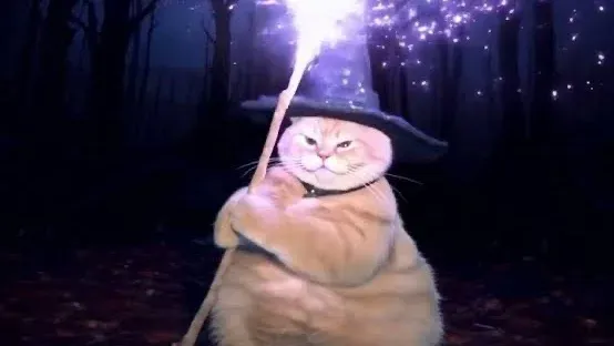 Get to know each other