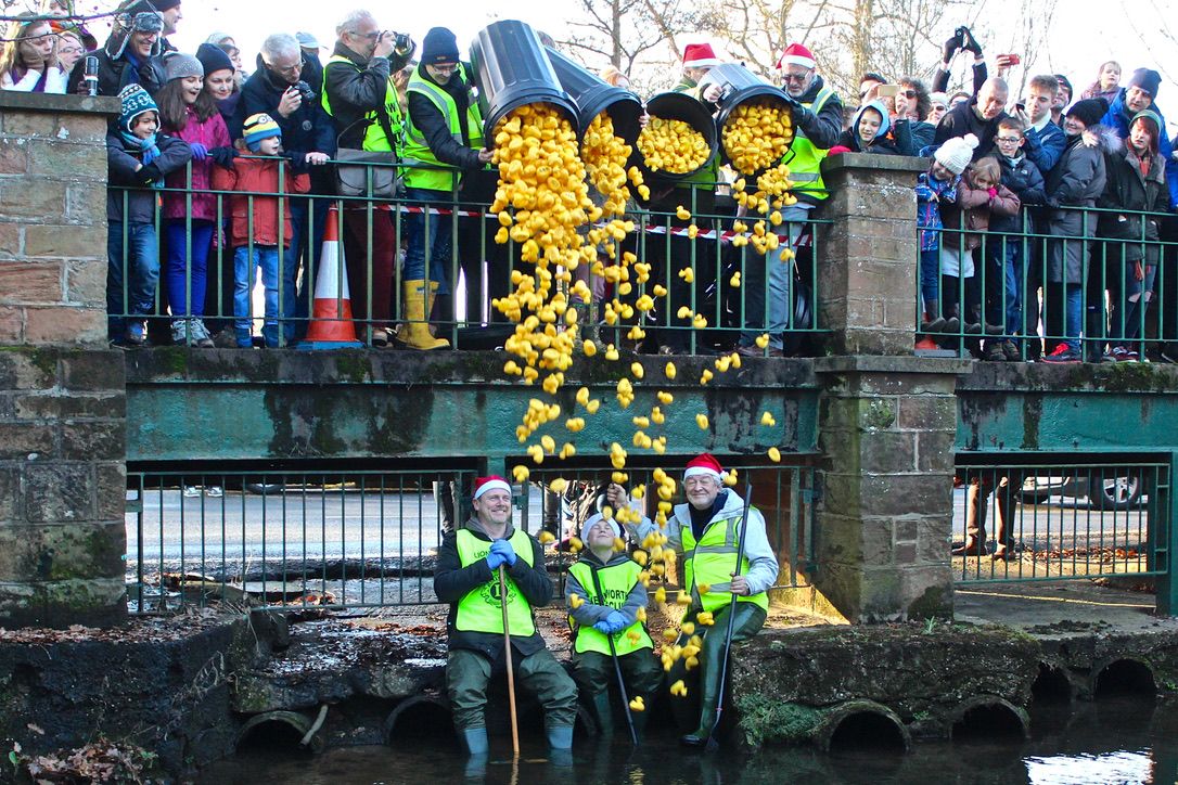 Annual Duck Race Abbey Fields