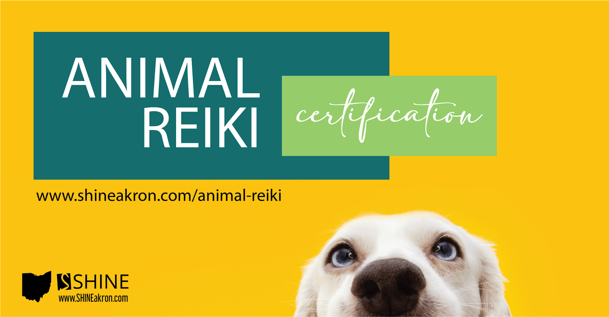 SHINE Animal Reiki Certification