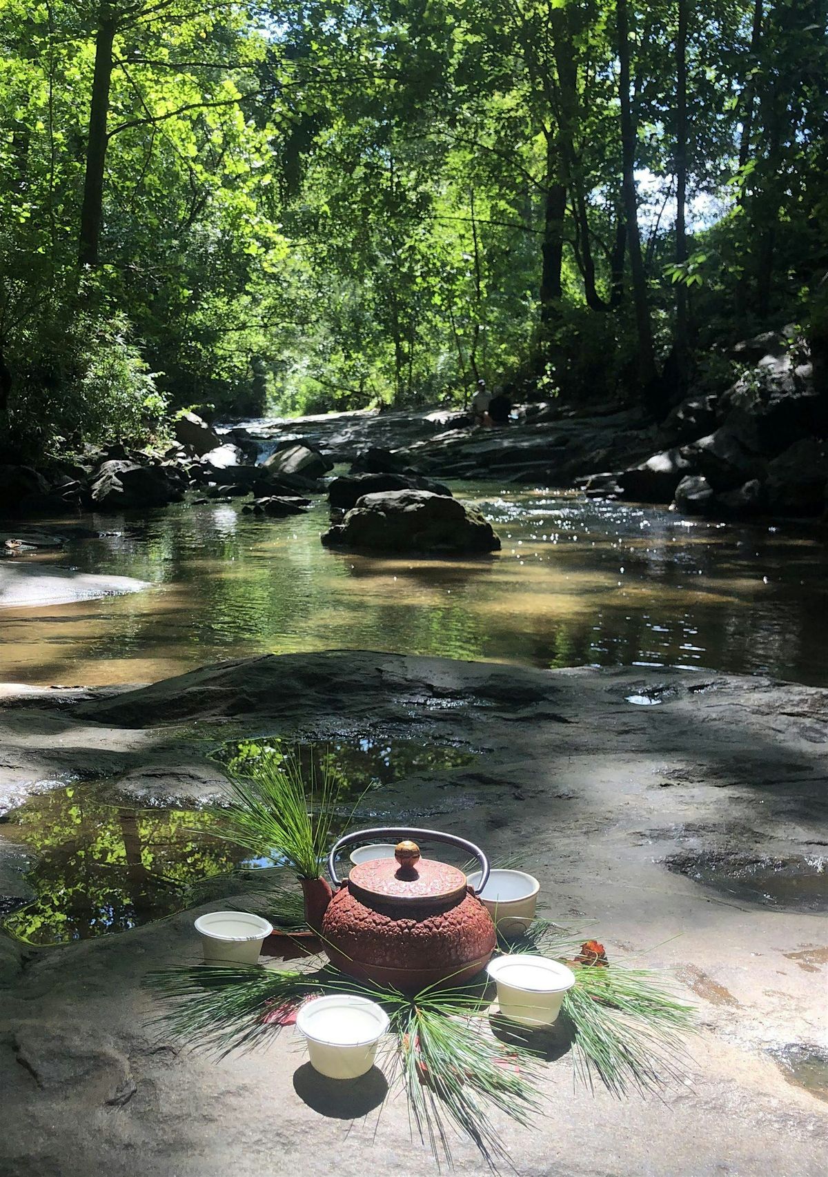 Forest Bathing Retreat: Autumnal Equinox