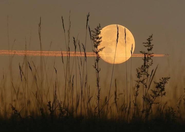 Harvest Full Moon Healing Soundbath 