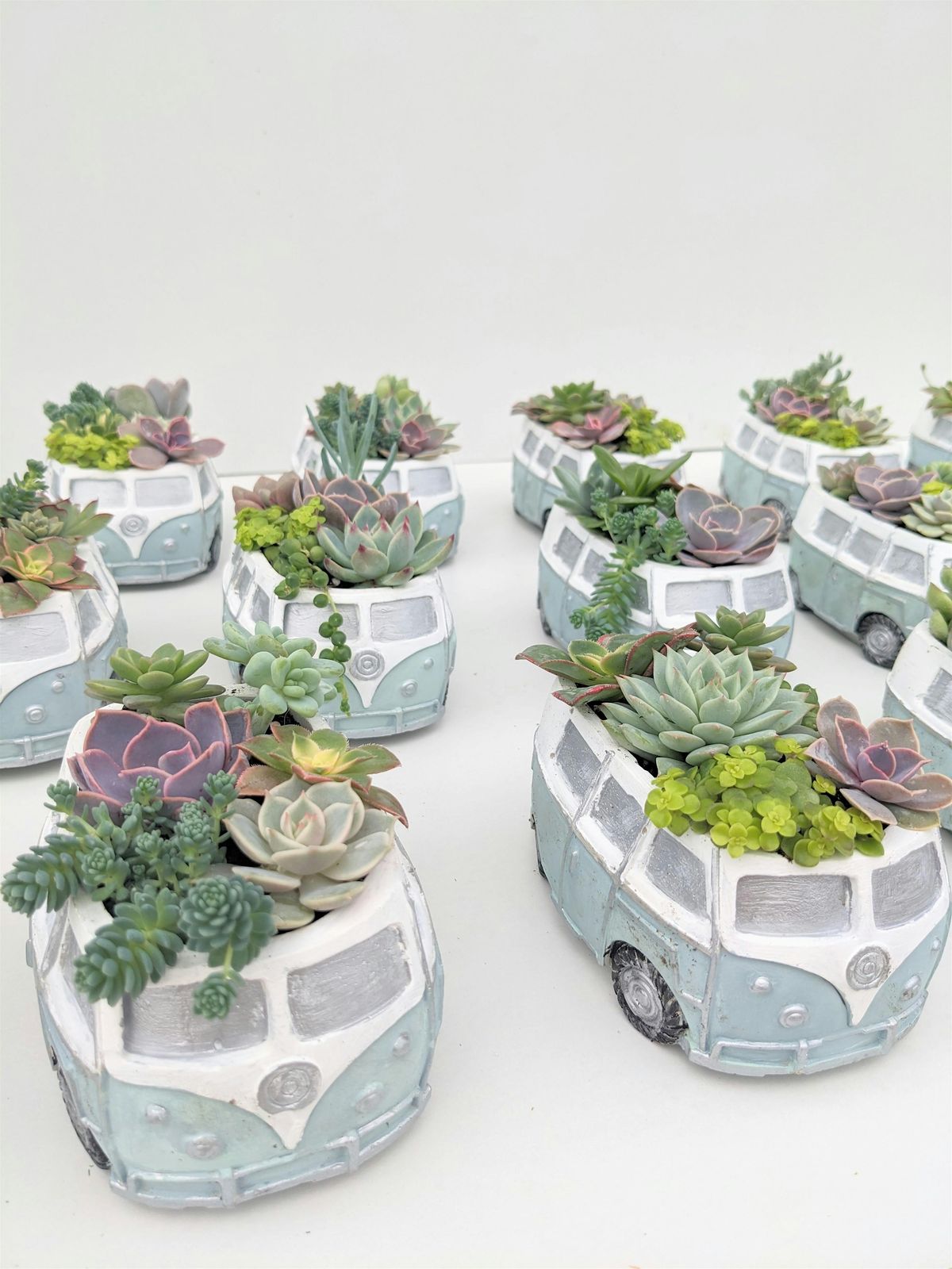 VW Bus Succulent Workshop