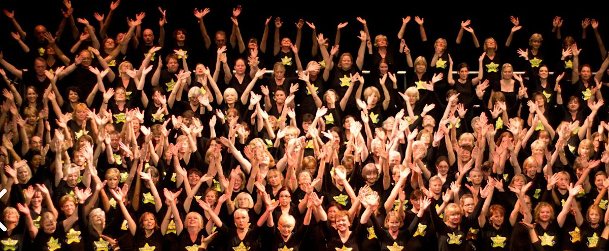 Dr Milley's Hospital Rock Choir Fundraising Event