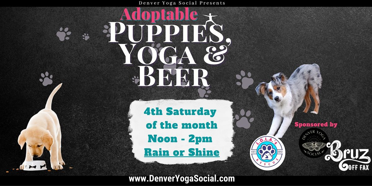 Adoptable Puppy Yoga with Lola's & Bruz off Fax