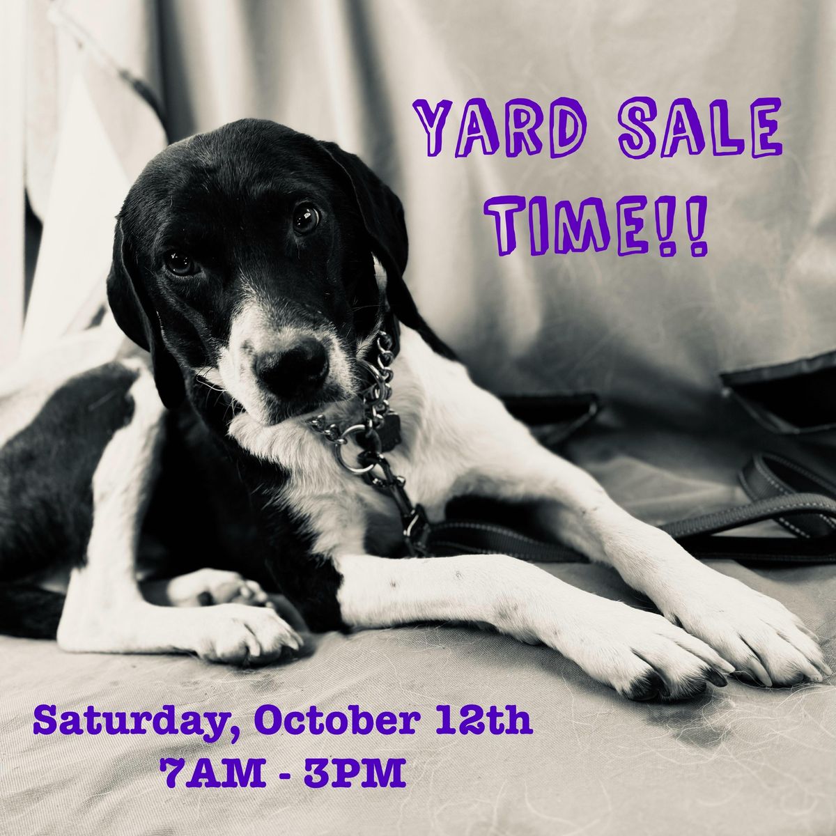 DASH Yard Sale!