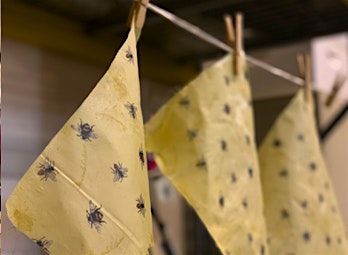 DIY Beeswax Wraps Workshop