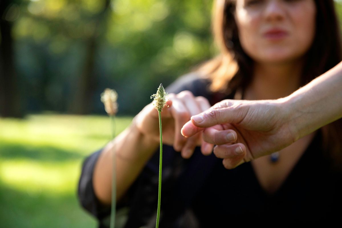 Autumn Foraging in Hasenheide